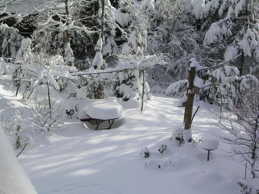Ferienwohnung Im Harz-Haus-Bruns Клаустал-Целерфелд Екстериор снимка