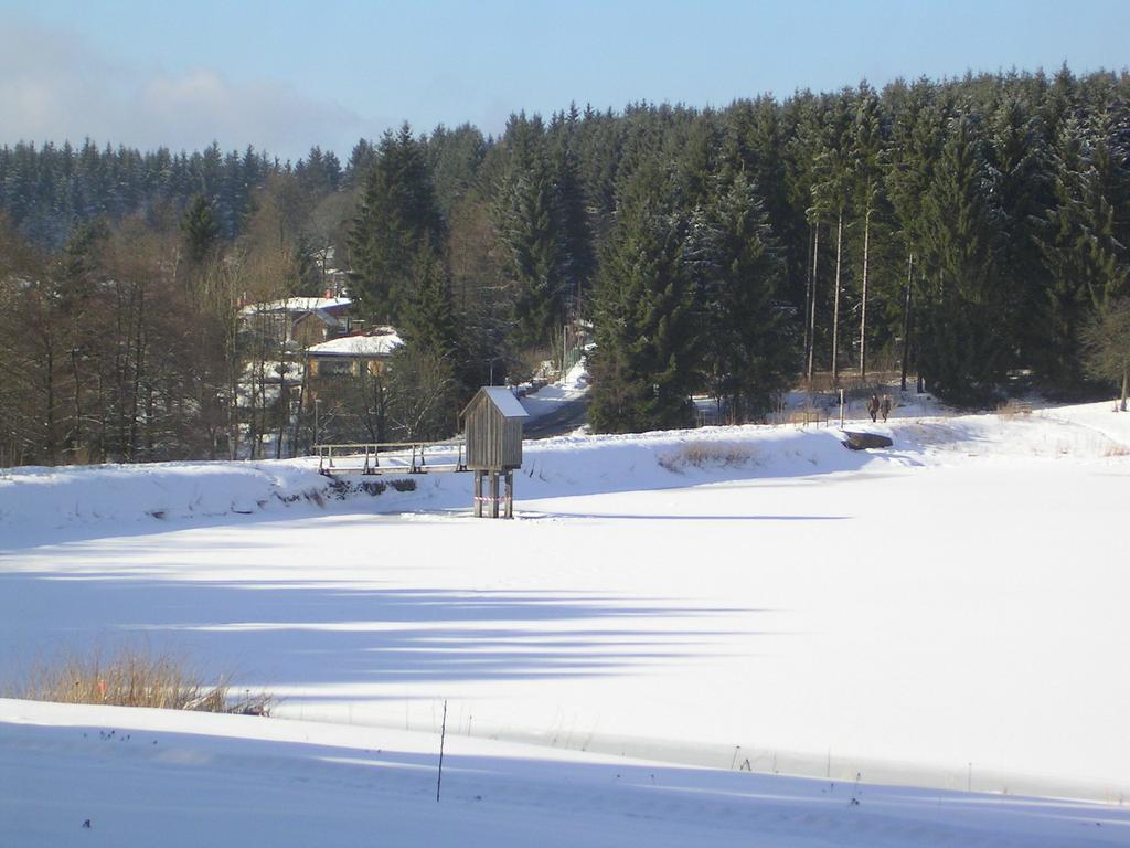 Ferienwohnung Im Harz-Haus-Bruns Клаустал-Целерфелд Стая снимка