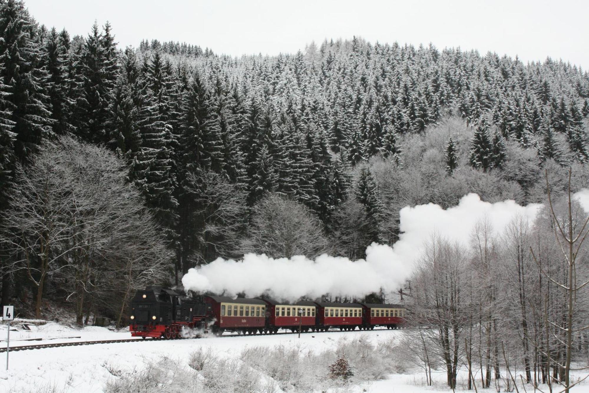 Ferienwohnung Im Harz-Haus-Bruns Клаустал-Целерфелд Екстериор снимка