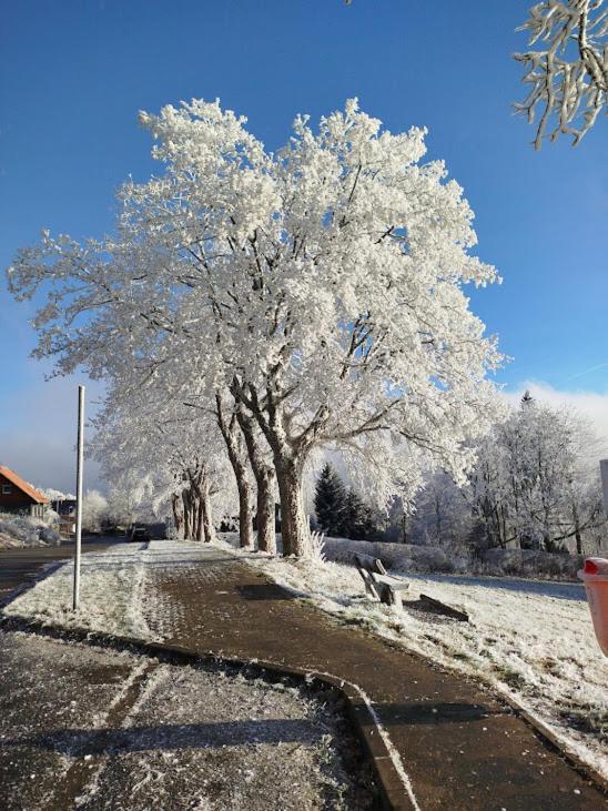 Ferienwohnung Im Harz-Haus-Bruns Клаустал-Целерфелд Екстериор снимка