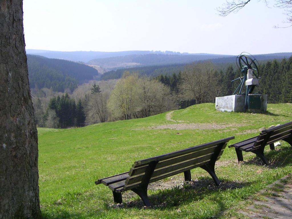 Ferienwohnung Im Harz-Haus-Bruns Клаустал-Целерфелд Екстериор снимка