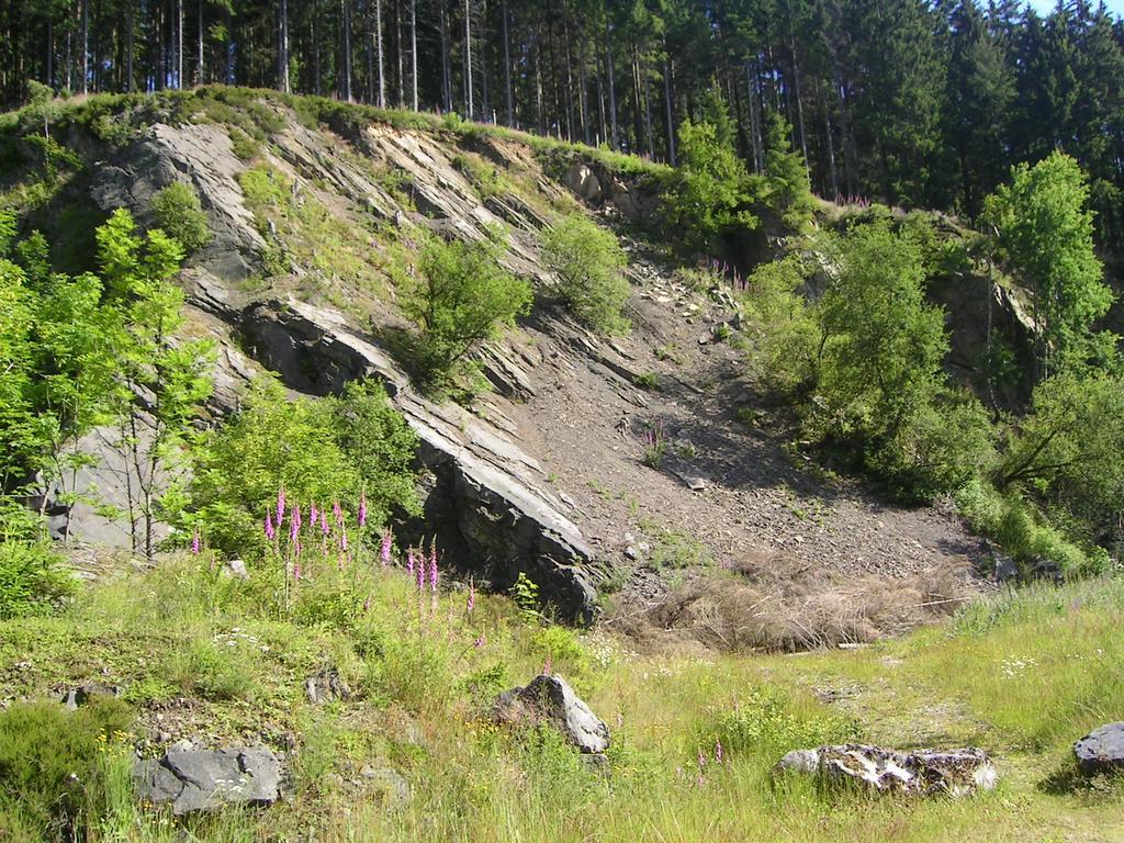 Ferienwohnung Im Harz-Haus-Bruns Клаустал-Целерфелд Екстериор снимка